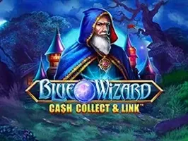 Blue Wizard_ เก็บเงินและเชื่อมโยง screenshot